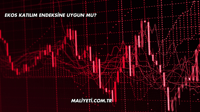 Ekos Katılım Endeksine Uygun mu?