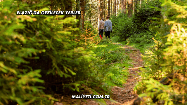 Elazığ'da Gezilecek Yerler