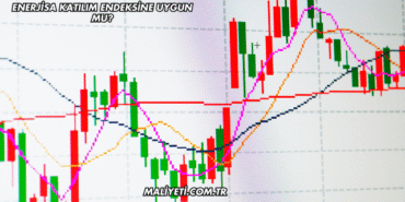 Enerjisa Katılım Endeksine Uygun mu?