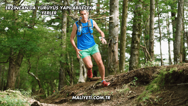 Erzincan'da Yürüyüş Yapılabilecek Yerler