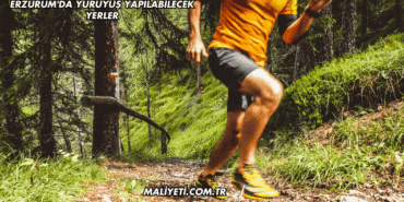Erzurum'da Yürüyüş Yapılabilecek Yerler