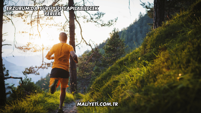 Erzurum'da Yürüyüş Yapılabilecek Yerler