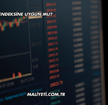 GESAN Katılım Endeksine Uygun mu?