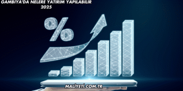 Gambiya'da Nelere Yatırım Yapılabilir 2025