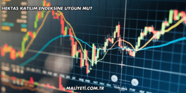 Hektaş Katılım Endeksine Uygun mu?