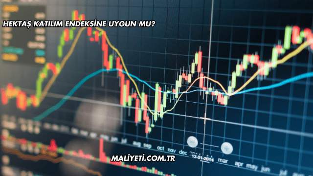 Hektaş Katılım Endeksine Uygun mu?