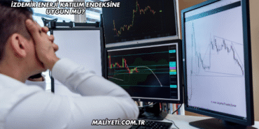 İZDEMİR Enerji Katılım Endeksine Uygun mu?