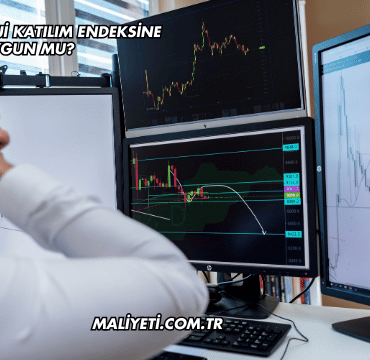 İZDEMİR Enerji Katılım Endeksine Uygun mu?