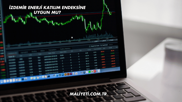 İZDEMİR Enerji Katılım Endeksine Uygun mu?