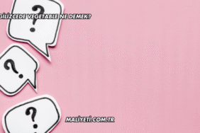 İngilizcede Vegetable Ne Demek?