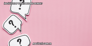 İngilizcede Vegetable Ne Demek?