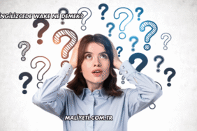 İngilizcede Wake Ne Demek?
