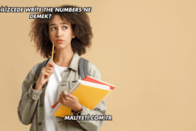 İngilizcede Write the Numbers Ne Demek?