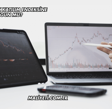 Kaleseramik Katılım Endeksine Uygun mu?