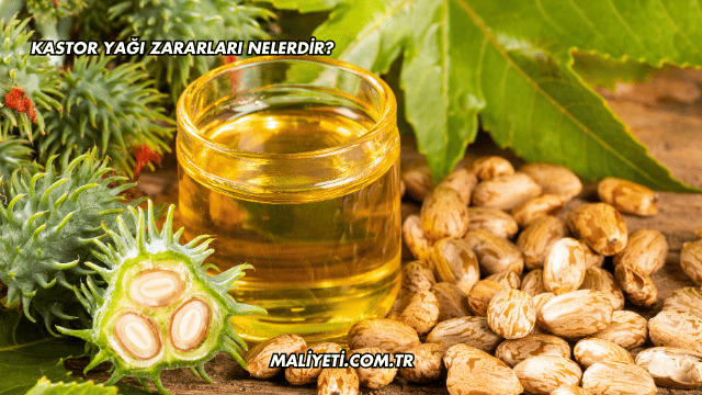 Kastor Yağı Zararları Nelerdir?