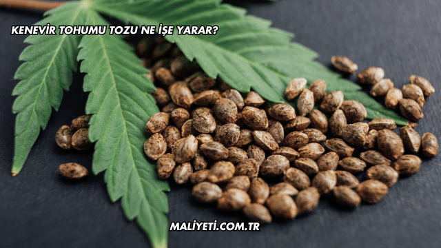 Kenevir Tohumu Tozu Ne İşe Yarar?