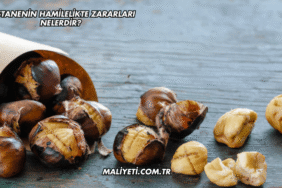Kestanenin Hamilelikte Zararları Nelerdir?