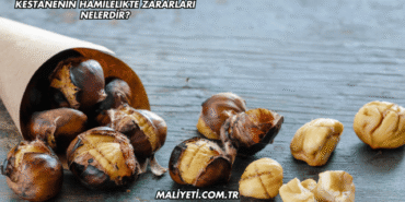 Kestanenin Hamilelikte Zararları Nelerdir?