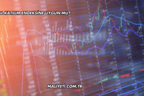Kozal Katılım Endeksine Uygun mu?
