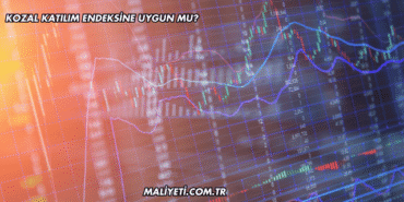 Kozal Katılım Endeksine Uygun mu?