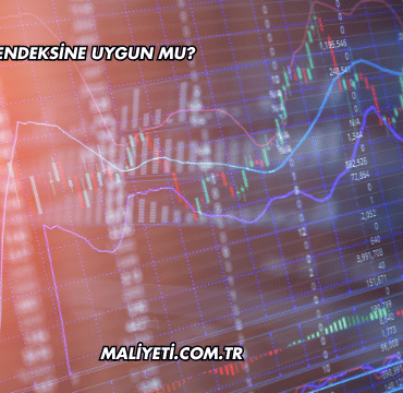 Kozal Katılım Endeksine Uygun mu?