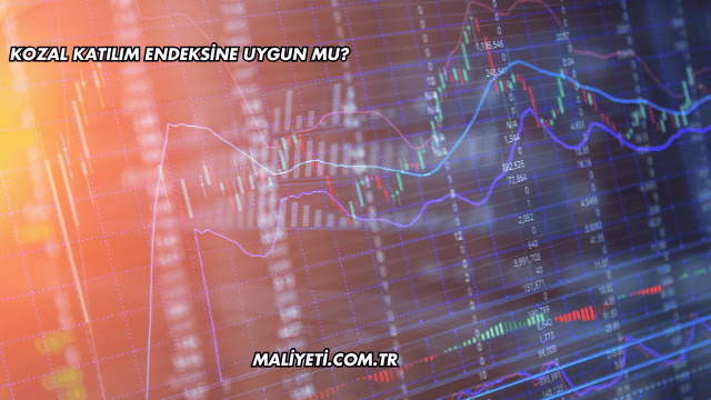 Kozal Katılım Endeksine Uygun mu?