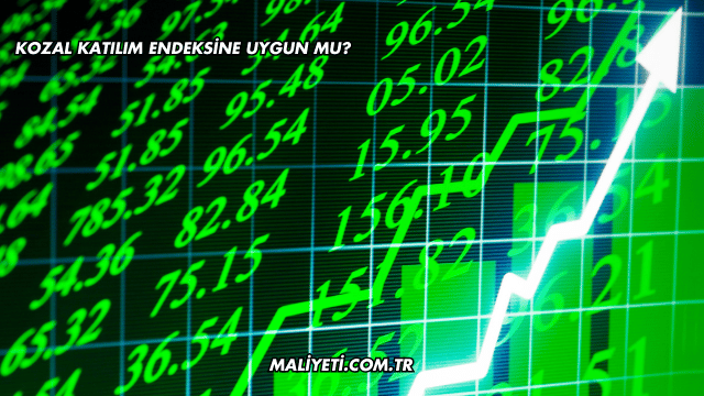 Kozal Katılım Endeksine Uygun mu?