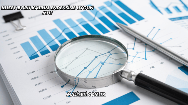 Kuzey Boru Katılım Endeksine Uygun mu?