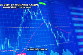 Kuzu Grup Gayrimenkul Katılım Endeksine Uygun mu?