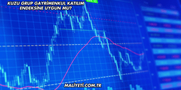 Kuzu Grup Gayrimenkul Katılım Endeksine Uygun mu?