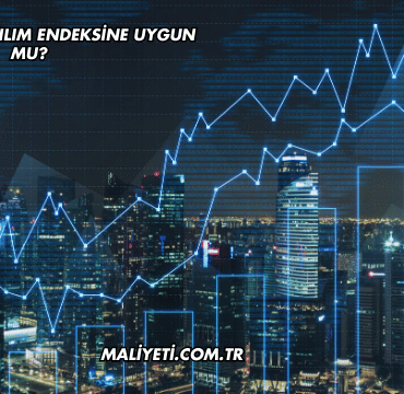 Kuzu Grup Katılım Endeksine Uygun mu?