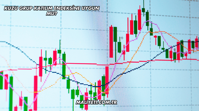 Kuzu Grup Katılım Endeksine Uygun mu?