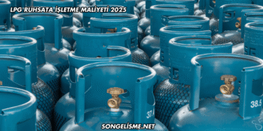LPG Ruhsata İşletme Maliyeti 2025