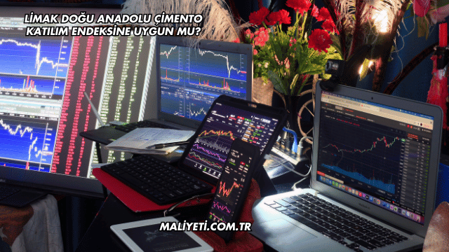 Limak Doğu Anadolu Çimento Katılım Endeksine Uygun mu?