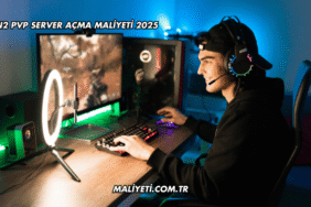 Metin2 Pvp Server Açma Maliyeti 2025