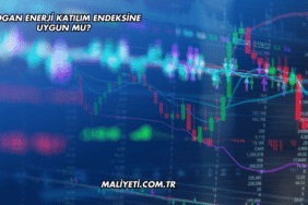 Mogan Enerji Katılım Endeksine Uygun mu?
