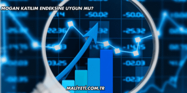 Mogan Katılım Endeksine Uygun mu?