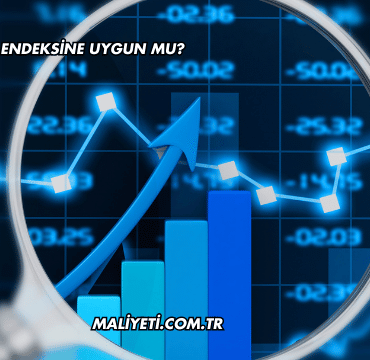 Mogan Katılım Endeksine Uygun mu?