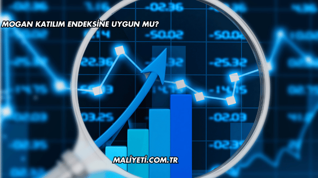 Mogan Katılım Endeksine Uygun mu?
