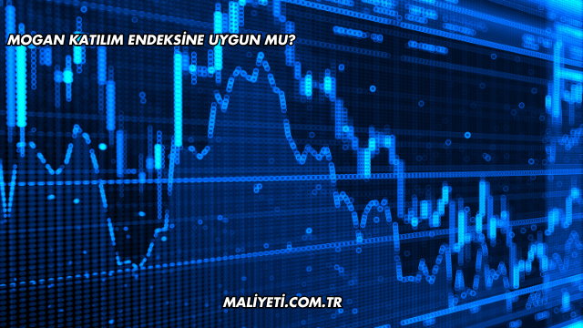 Mogan Katılım Endeksine Uygun mu?