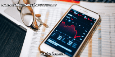 Naten Katılım Endeksine Uygun mu?