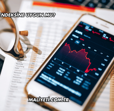 Naten Katılım Endeksine Uygun mu?