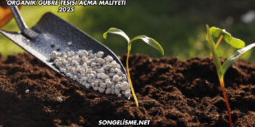 Organik Gübre Tesisi Açma Maliyeti 2025
