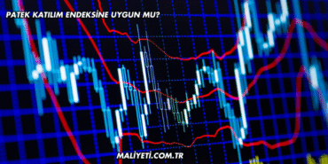 Patek Katılım Endeksine Uygun mu?
