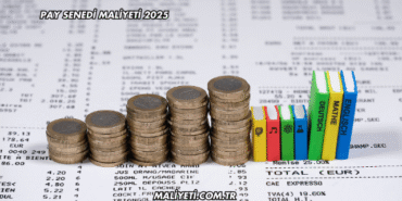 Pay Senedi Maliyeti 2025