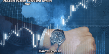 Pegasus Katılım Endeksine Uygun mu?