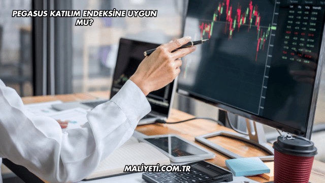 Pegasus Katılım Endeksine Uygun mu?