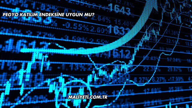 Pegyo Katılım Endeksine Uygun mu?