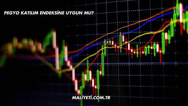 Pegyo Katılım Endeksine Uygun mu?