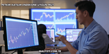 Petkim Katılım Endeksine Uygun mu?